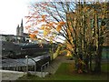 Autumn along the Strule, Omagh