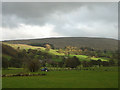 SD6788 : Lower Dentdale pastures and Rise Hill by Karl and Ali