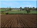 Farmland, Gilling