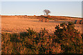 Above Drywells at Sunset