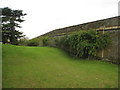 The churchyard at Brocklesby (2)