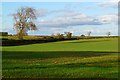 Farmland, Croft-on-Tees