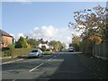 West Park Drive - viewed from Old Farm Drive