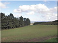 Field at Combe Farm