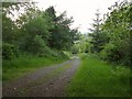 Permissive path, Hitchcombe Wood