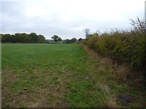 SO5091 : Footpath from The Saplings towards Rushbury by Richard Law