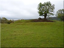 SO5191 : The Rushbury motte by Richard Law