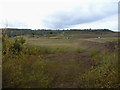 Restored gravel pit workings at Morville