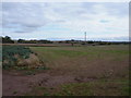 Farmland north of Morville Heath