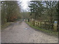 Bridleway into Salcey Forest