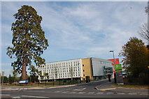 TQ2852 : The New East Surrey College by patrick connolly