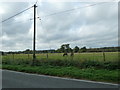 SU1410 : Horses grazing opposite All Saints, Harbridge by Basher Eyre