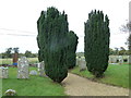 SU1410 : All Saints Churchyard (g) by Basher Eyre