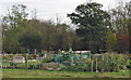 Allotments near Woodham Road