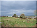 Farmland above Parc-yr-eithin near Cardigan