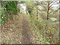 Path above Cwm Degwel