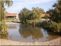 TL1110 : Pond near Redbournbury Watermill by Peter S