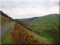 Cwm Ceulan beneath Moel Fferm