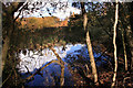 Pond, Dry Sandford Pit