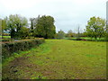 Pasture land at Boseley