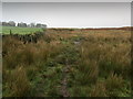 Footpath on Low Moor