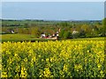 Farmland, Denton