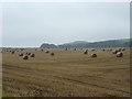 Hay bales in Fife