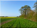 Farmland, Sparsholt