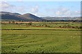 NT9932 : Farmland at Doddington by Walter Baxter