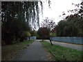 Path beside Norbury Brook