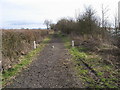 Bridleway to Puttenham