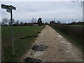 Footpaths crossing the lane