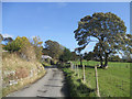 Lane at Tyn-y-celyn