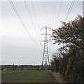 Pylon on field boundary