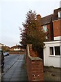 Tree ready for Christmas in Gains Road