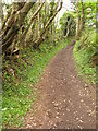 The coast path at Millendreath