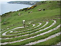 Mysterious Sevenfold Labyrinth