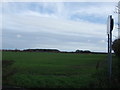 Farmland, Hightown