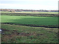 SD3102 : Farmland off Moss Lane by JThomas