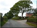 Knowlbank Road at Knowl Bank Farm