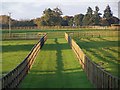 SU2629 : Paddock fences and shadows, West Tytherley by David Martin