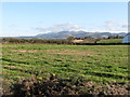 Pasture land at Drumlough