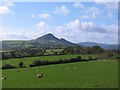 Sheep pasture, Great Campston