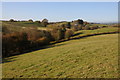 Farmland at Eastham