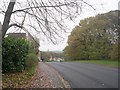 Westwood Side - viewed from Woodcross