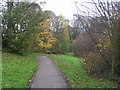 Footpath - Clark Spring Rise to Westwood Side