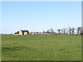 A large, modern, house on the Rathfriland Road