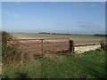 Gate on Gorse Hill lane