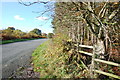 Wood lane from the entrance to Greaves Lane