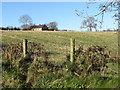 Derelict cottage above Lisnamulligan Bridge